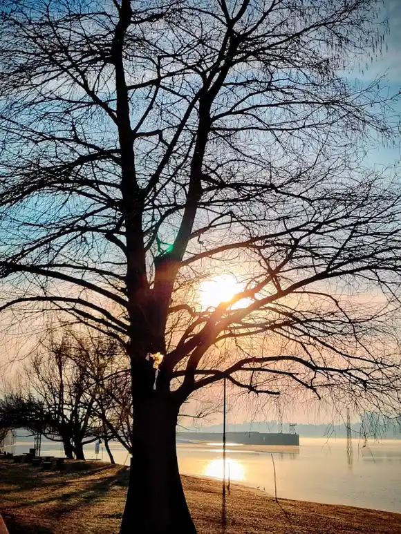 Alerta por bajas temperaturas en cinco departamentos de Entre Ríos