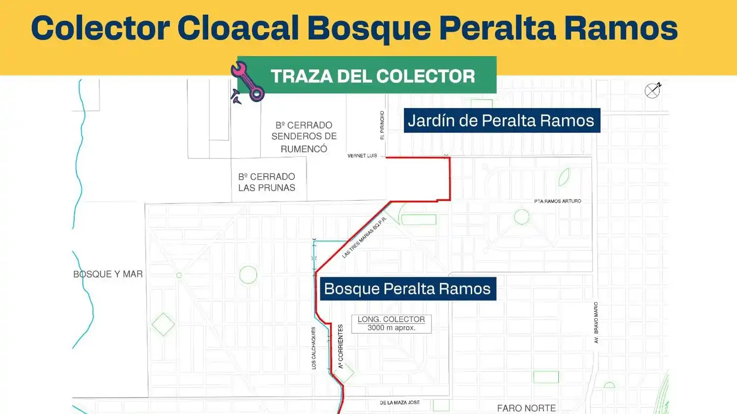 colector cloacal traza del colector