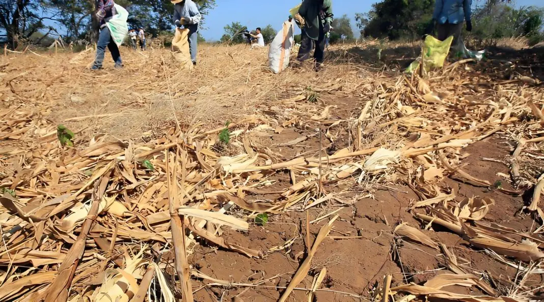 Se vuelve a reunir la Comisión de Emergencia Agropecuaria de la Provincia