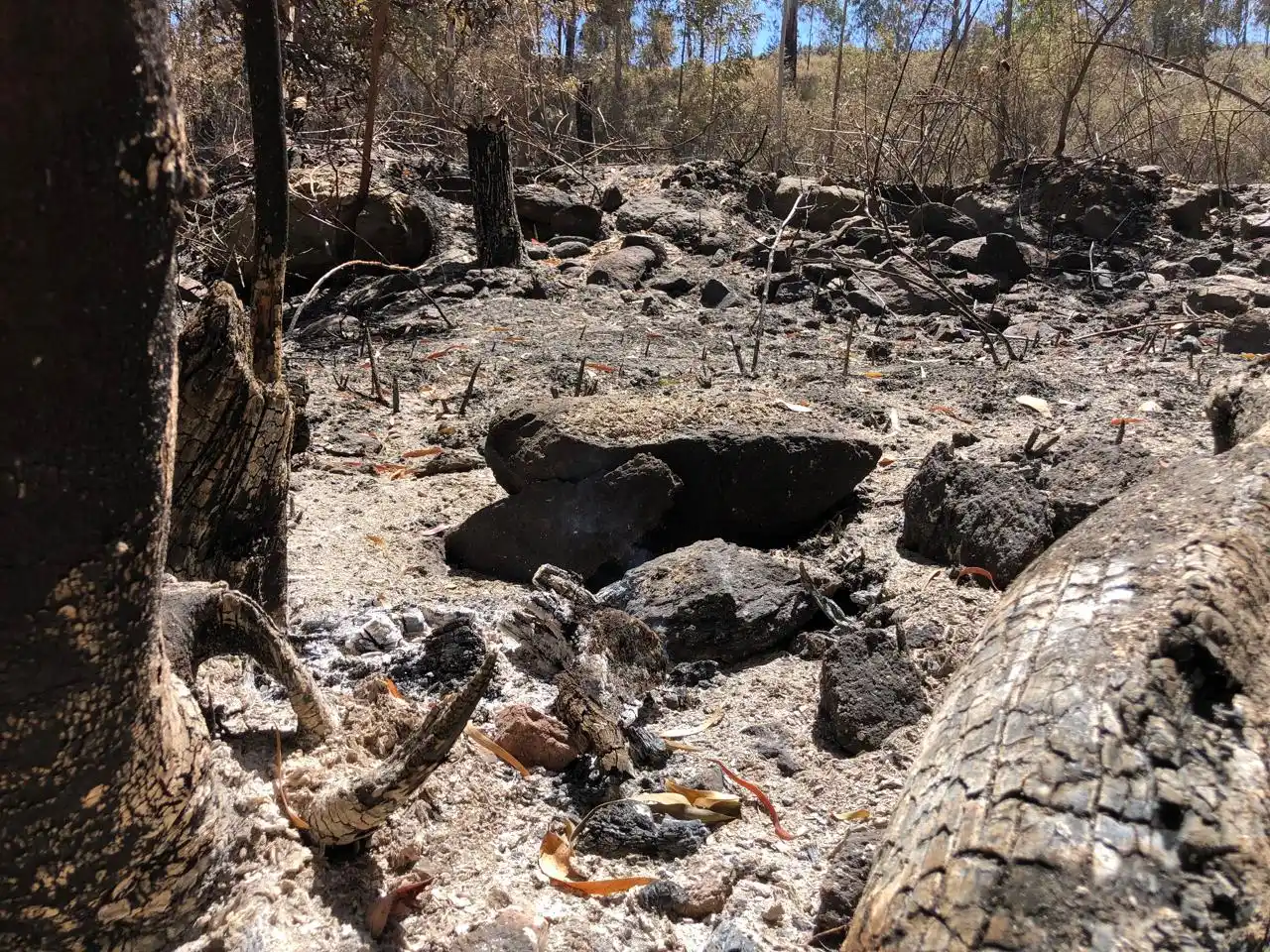 incendio sierras vecinos villa del lago 15-01-25 - 4
