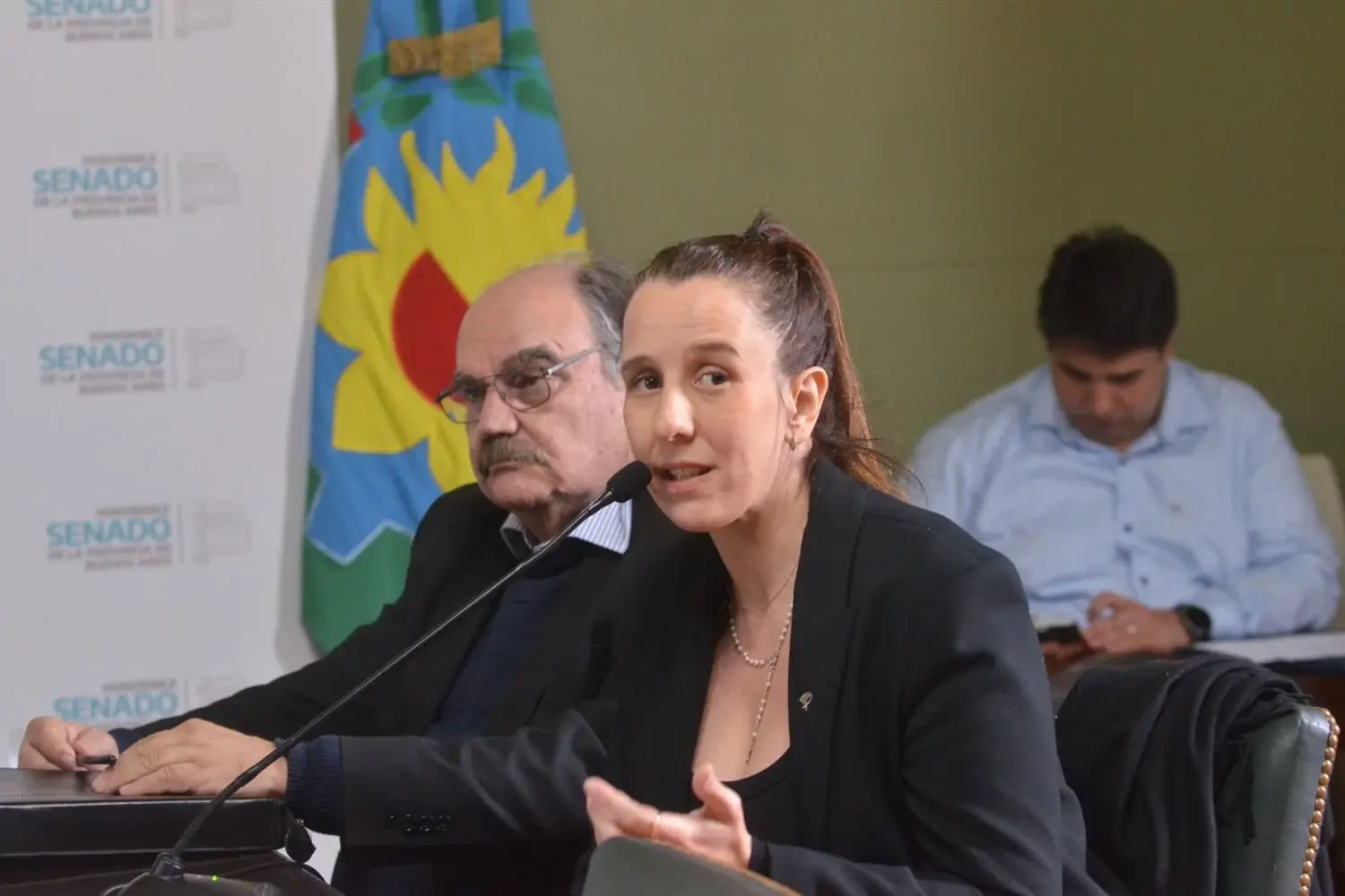Qué pasará con los chicos que viven en hogares o con familias cuidadoras: el proyecto que avanza en el Senado bonaerense