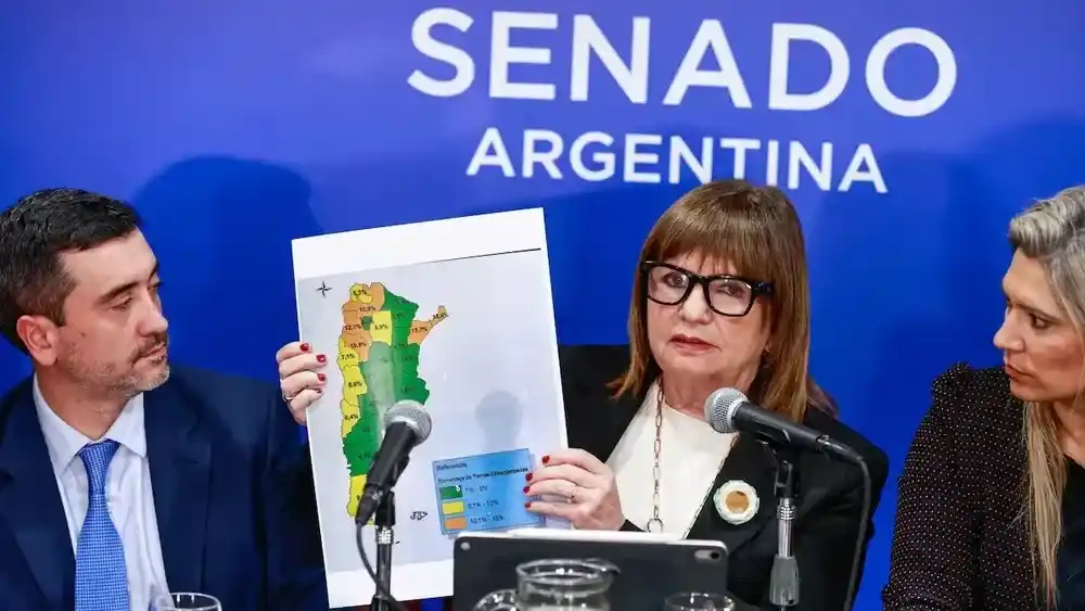 Patricia Bullrich, hoy en el Senado.