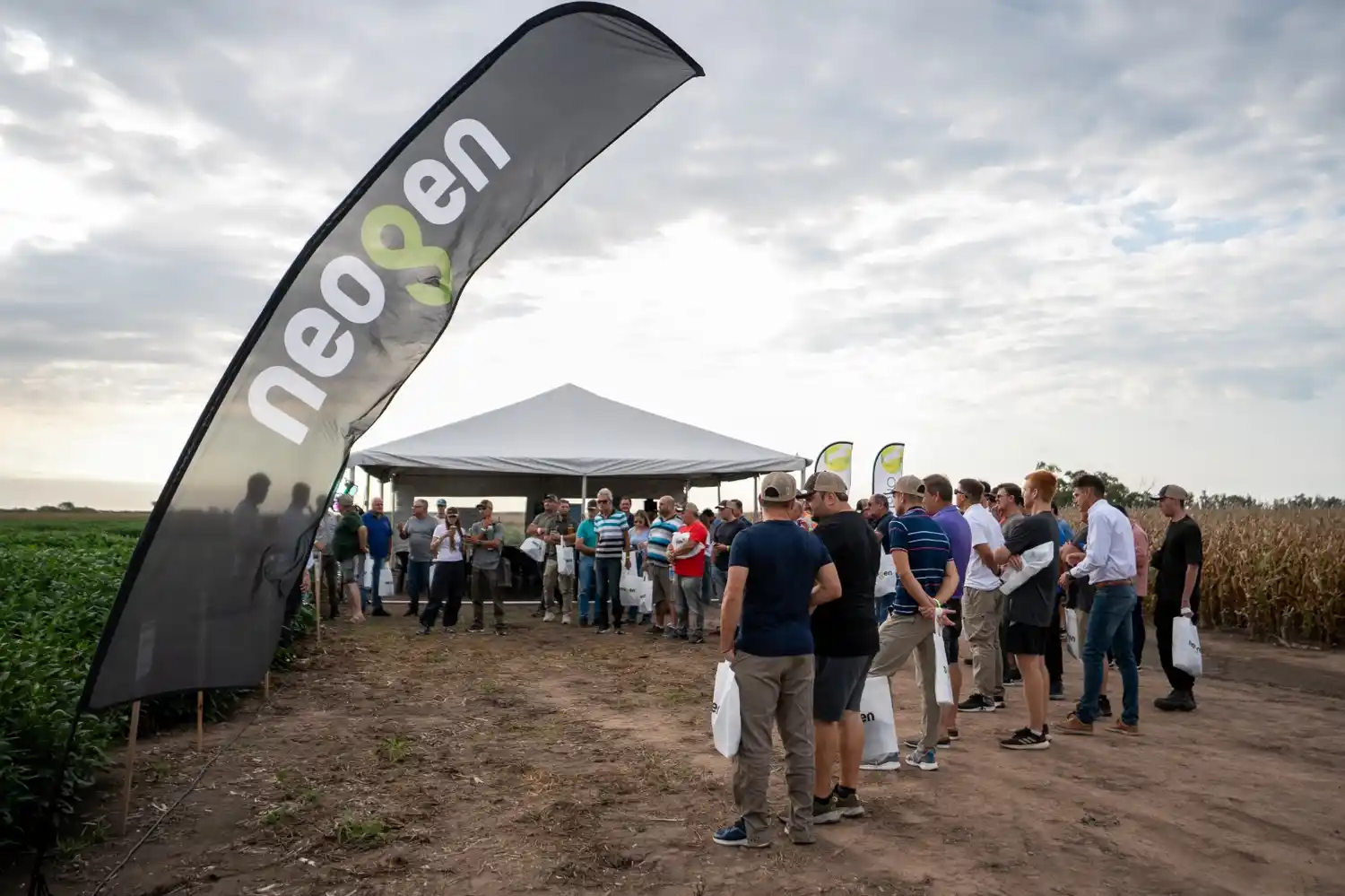 dia de campo gaviglio