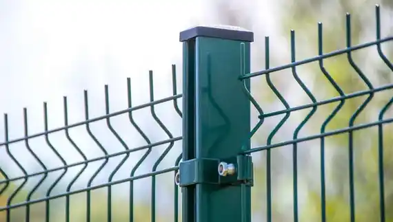 Colón : olvidó sus llaves, intentó saltar la reja, se quedó enganchado y perdió un testículo