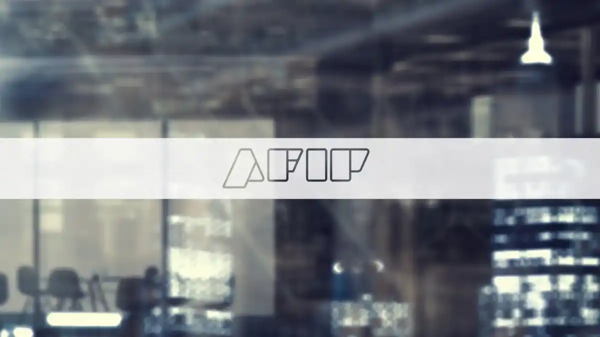 AFIP digitalizó control del empleo no registrado: El sistema avanzará en distritos bonaerenses