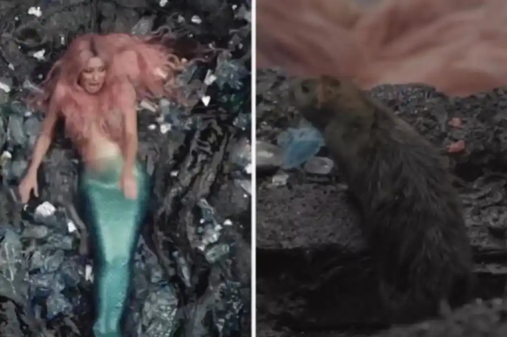 La cantante compartió en sus redes el incómodo momento que pasó