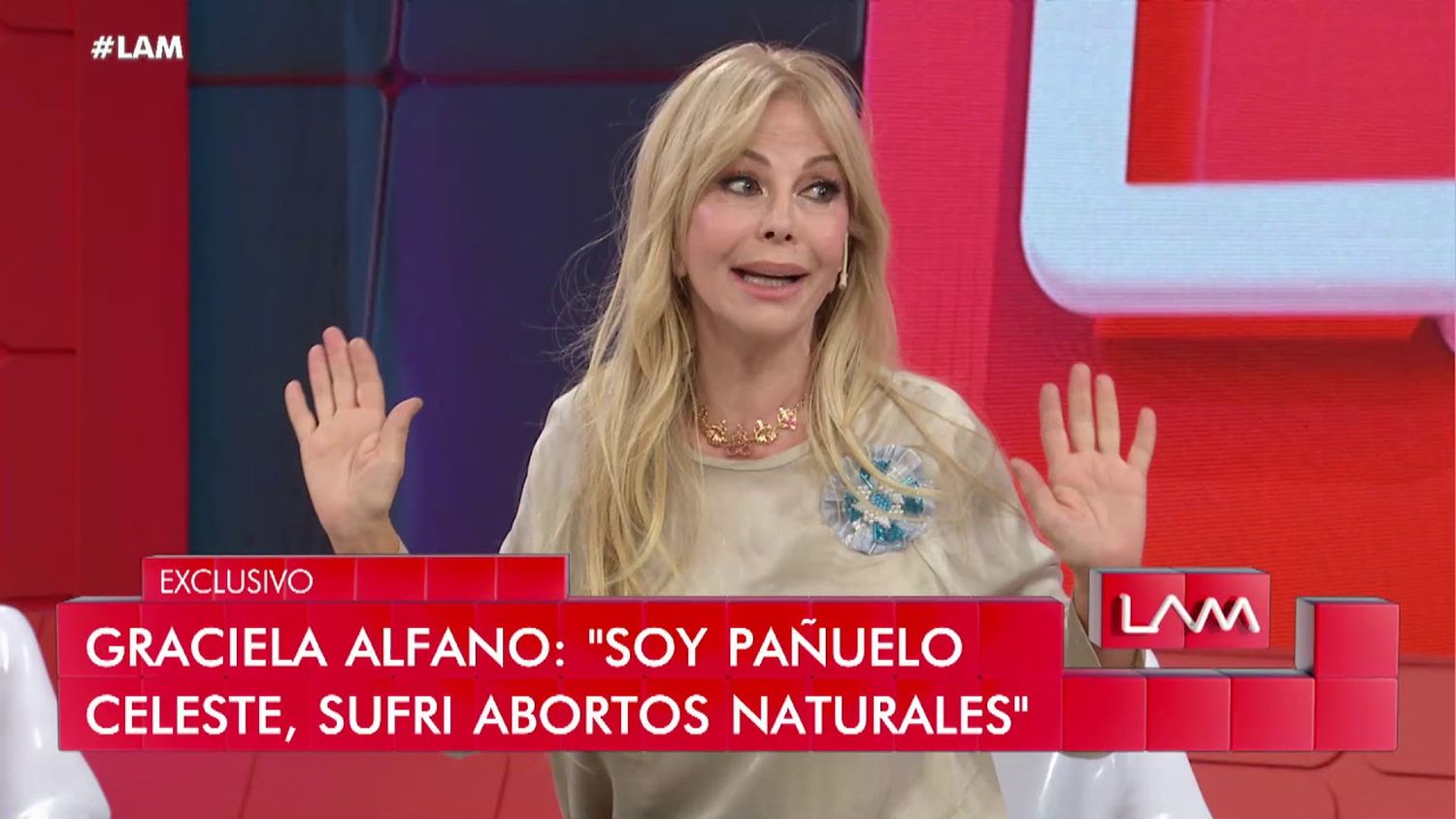 Graciela Alfano: “Soy pañuelo celeste, soy defensora de la vida”