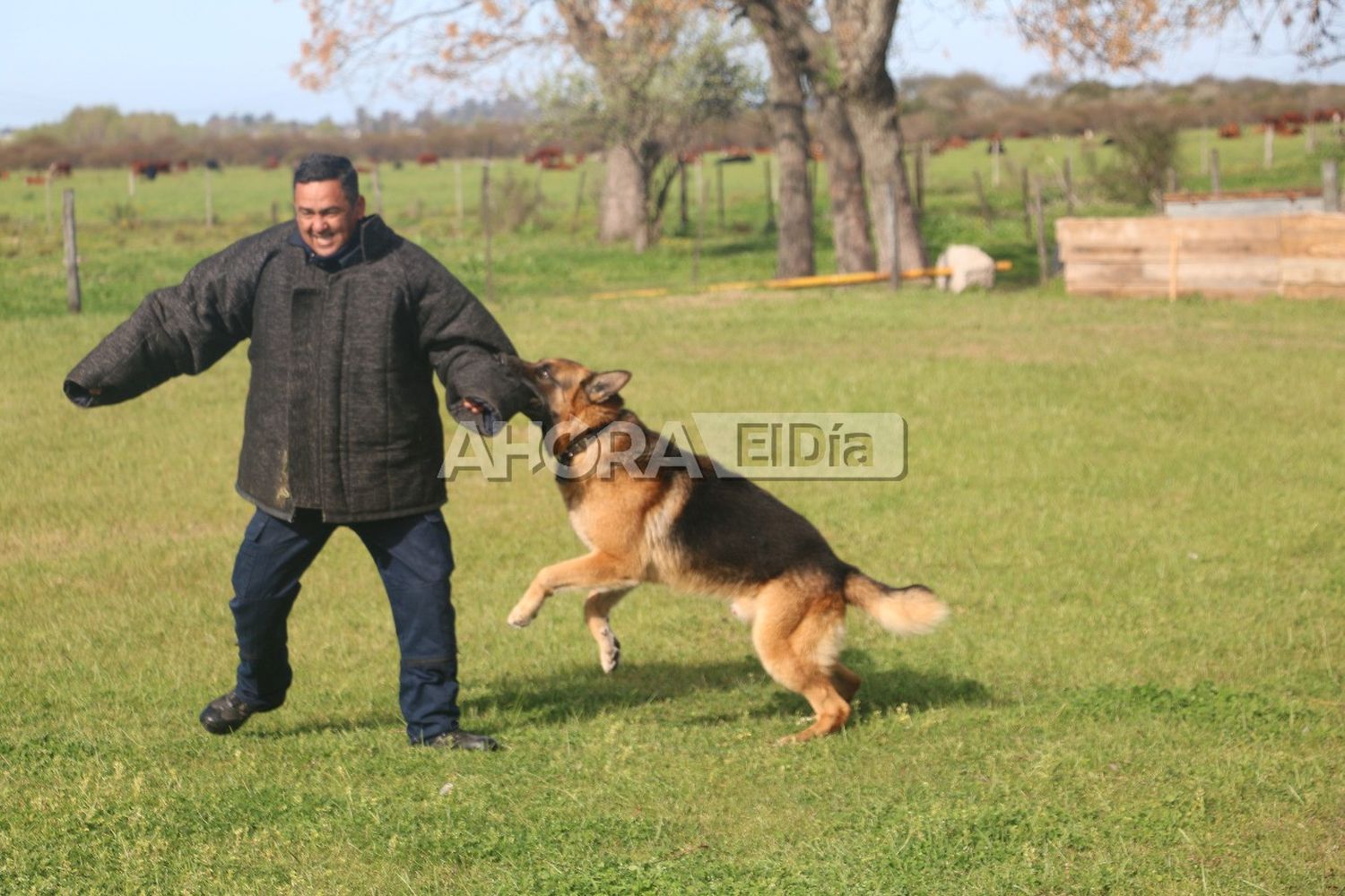 El perro policía, mucho más que un amigo, una herramienta para combatir el delito