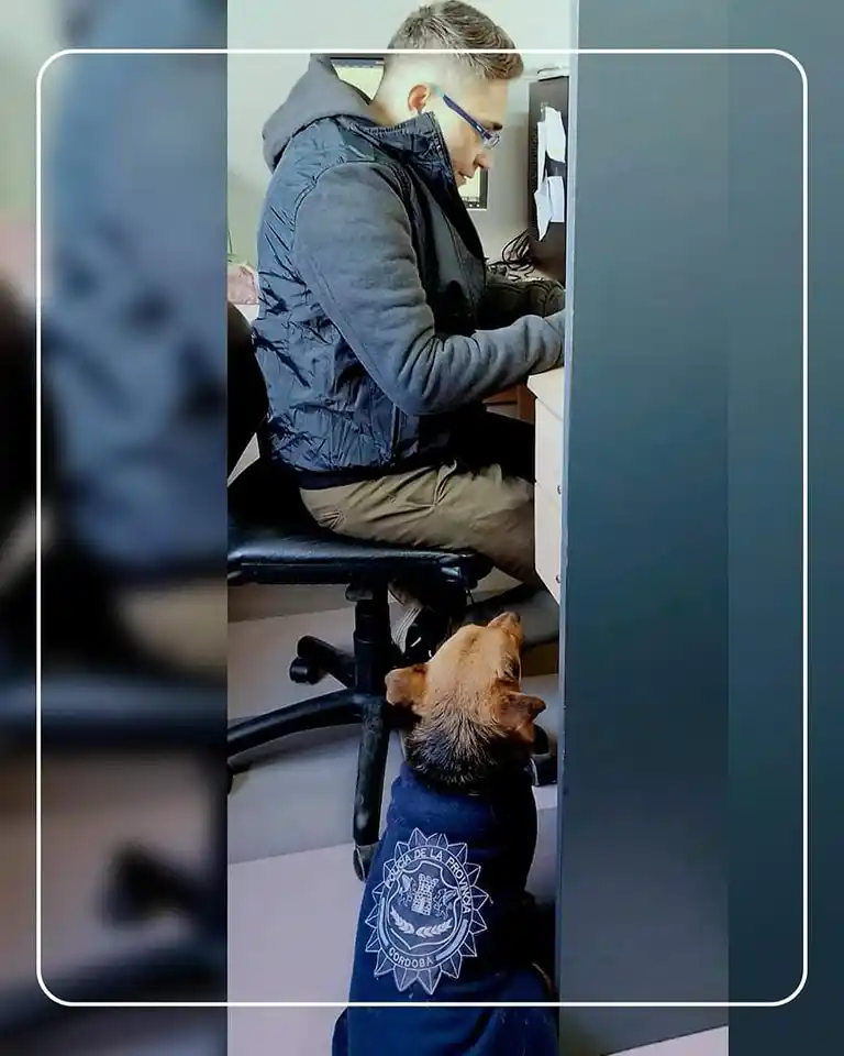 "Poli mascotas" en la comisaría de Arroyito