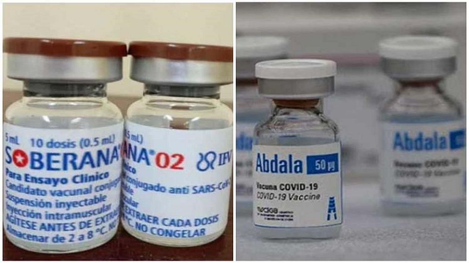 ENSAYOS CON VACUNAS CUBANAS pone en riesgo plan de inmunizaciones: alerta la Academia de Medicina