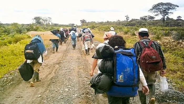 Defensoría pidió al Gobierno colombiano atención urgente para desplazados en Briceño, Anorí y Tarazá en Antioquia