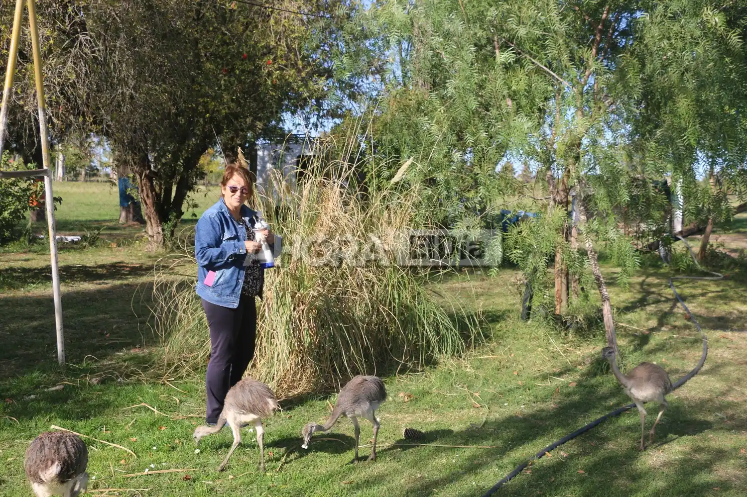 Una vecina de Gualeguaychú denuncia un “avasallamiento de la propiedad privada”
