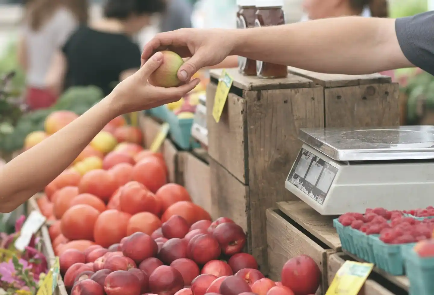 El precio de la canasta de alimentos y bebidas subió más del 4,5 por ciento en febrero