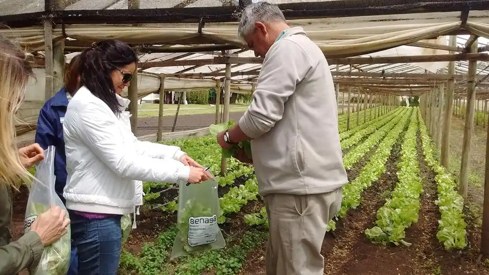 La medida está contemplada en la Resolución N° 843/2025 y fue publicada en el Boletín Oficial.