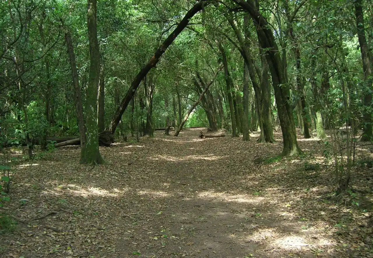 Lomas de Zamora: Avanza la expropiación de la reserva Santa Catalina