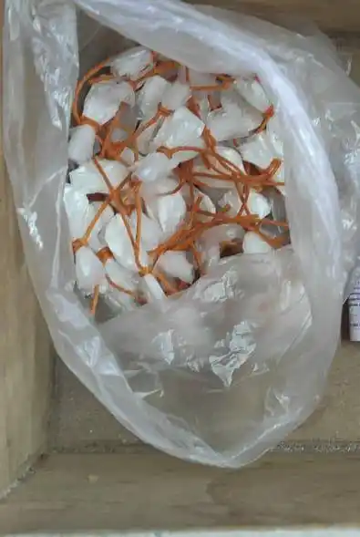 Secuestro de unas 600 dosis de cocaína