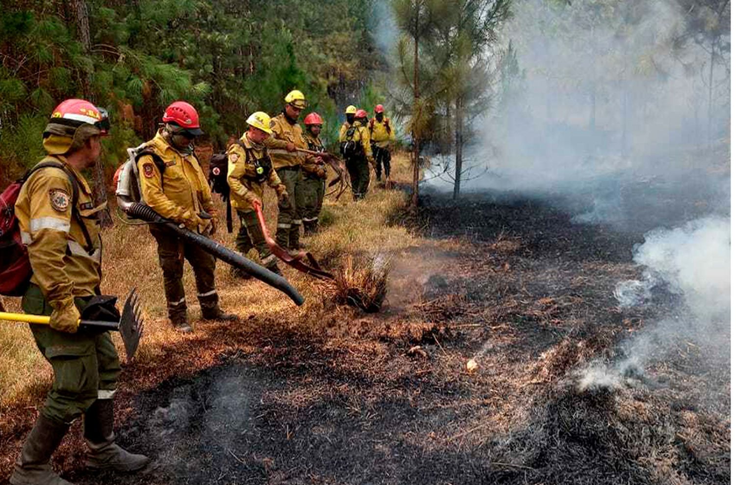 Marplatenses en Corrientes: "Lo mínimo que marchamos fue 15 kilómetros con equipo incluido"