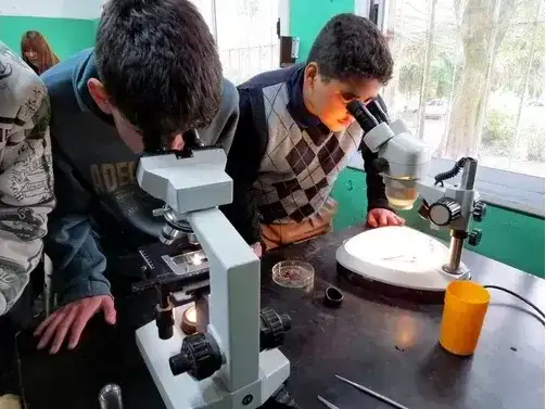 El programa PREVENIR llegará al Colegio IDRA con actividades por el Día Mundial del Ambiente