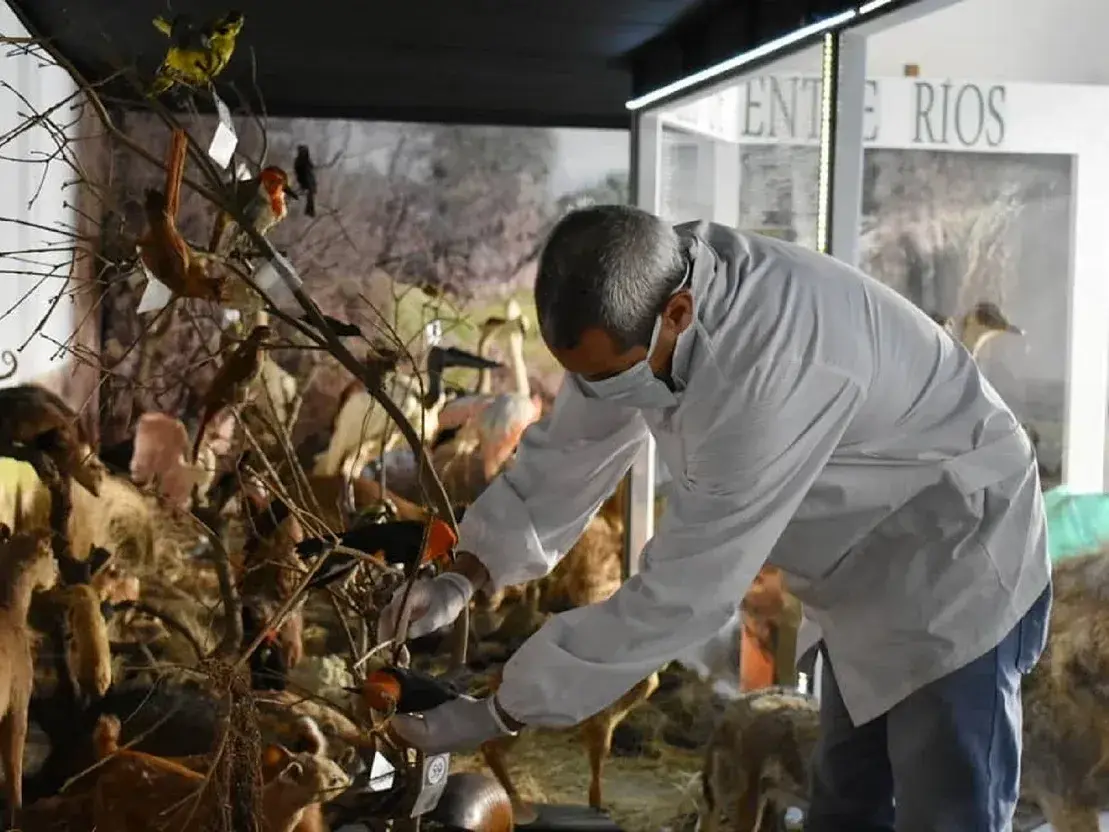 El Museo Serrano permanecerá cerrado al público por tareas de conservación preventiva de sus colecciones