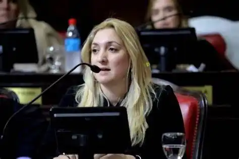 Repercusiones tras el discurso de Kicillof: "Esperemos que dejen de mentirle a la gente", apuntó Ahumada