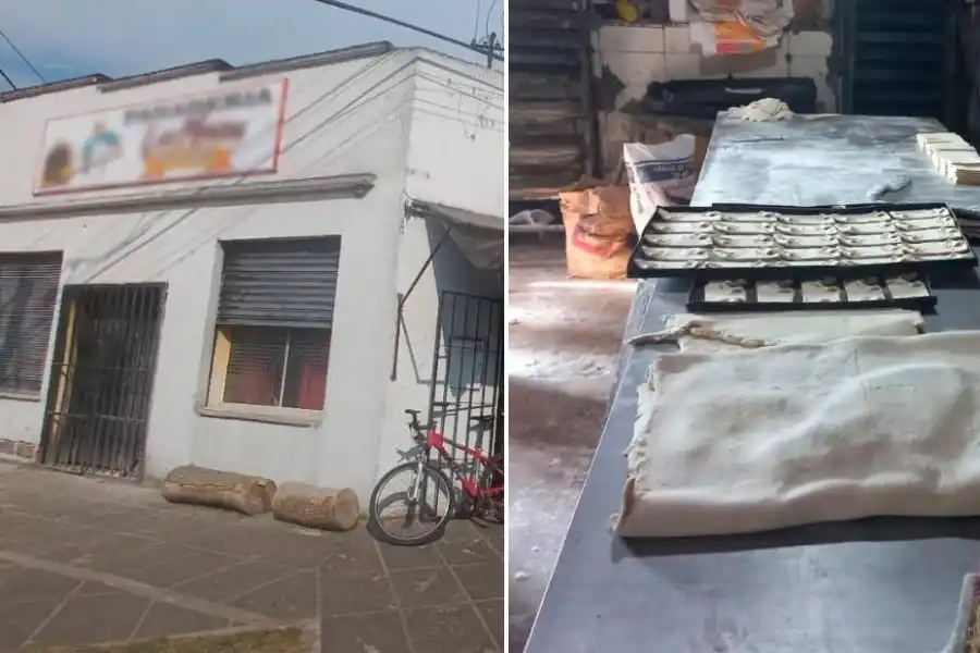 Clausuraron una panadería por falta de higiene e insectos en la zona de elaboración 