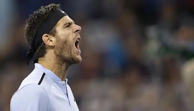 Del Potro pasó a la final del ATP 250 de Auckland