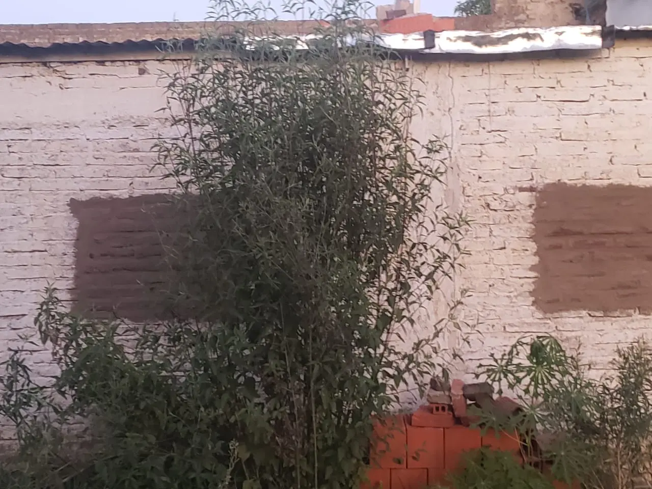 Así quedó el galpón de herramientas, donde los ladrones rompieron las ventanas e ingresaron.