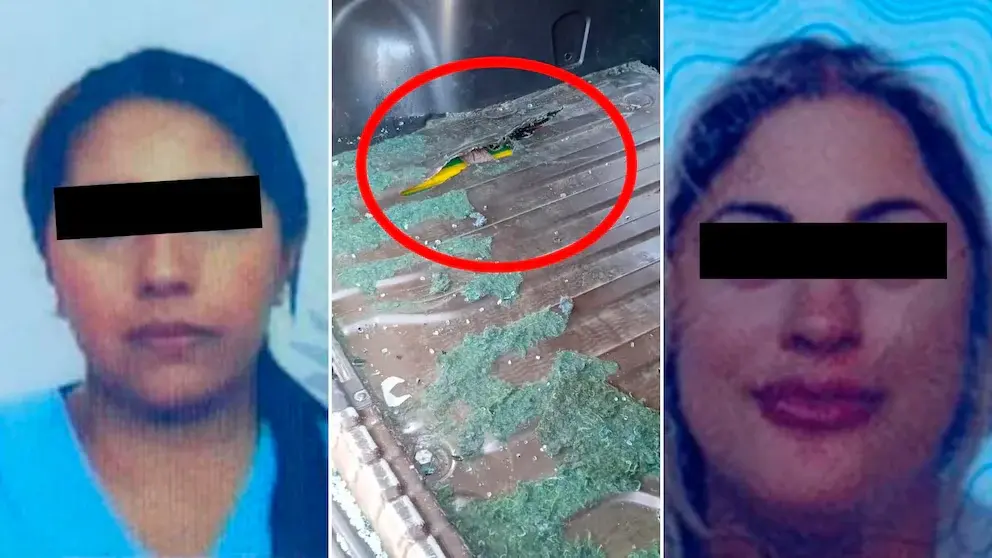 Una médica de Gendarmería y una cosmetóloga fueron detenidas con 70 kilos de cocaína