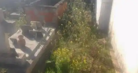 Cementerio abandonado