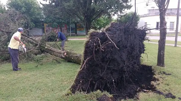 Con ráfagas de más de 100km/h, la tormenta dejó su paso por Urdinarrain