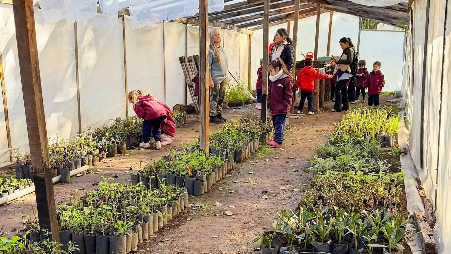 Visita. El Jardín Danés en el vivero