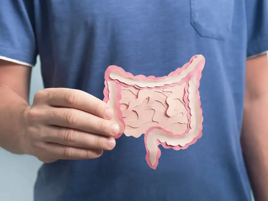 Microbiota Intestinal - Por Mariela Druetta