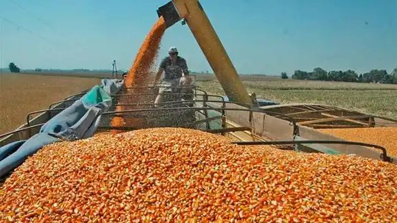 Aporte del campo por retenciones será récord en 2022, pero menor a lo estimado