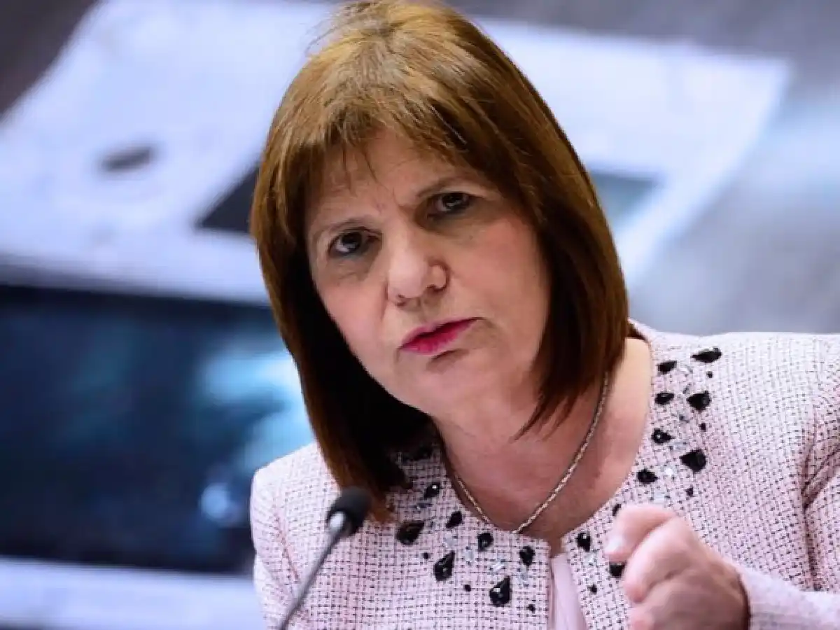 Bullrich dijo que “sería un retroceso” no expulsar a delincuentes extranjeros