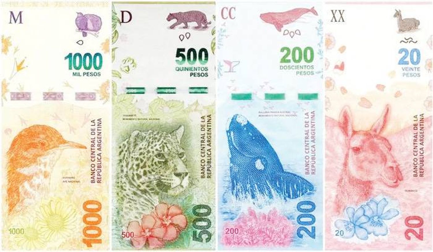 Definen detalles para la  emisión del billete de $5000