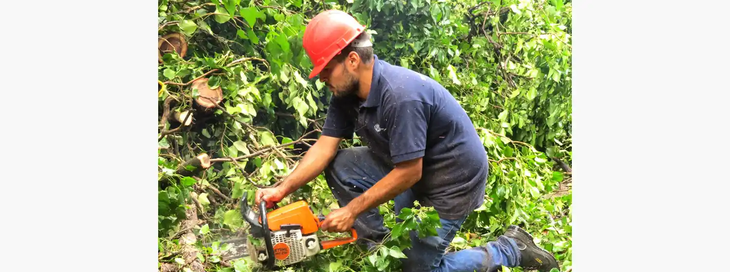 Abrió la inscripción para el Curso de Podador Urbano Artesanal 2023