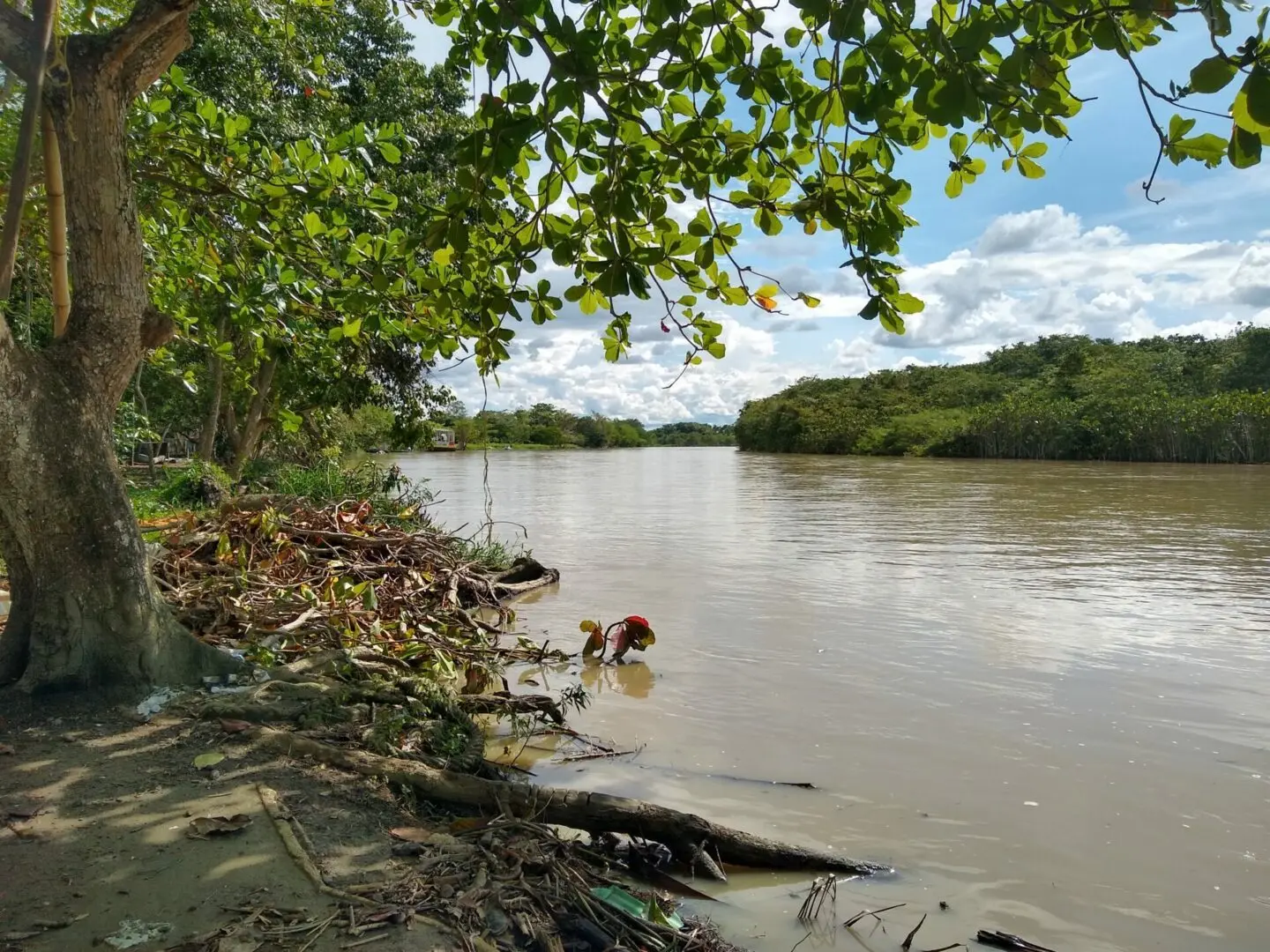Misteriosa ISLA surgió en el Urabá antioqueño