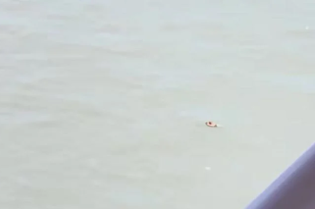 El supuesto kayak