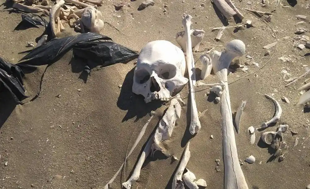 Turistas paseaban en cuatriciclos y encontraron  20 esqueletos humanos 