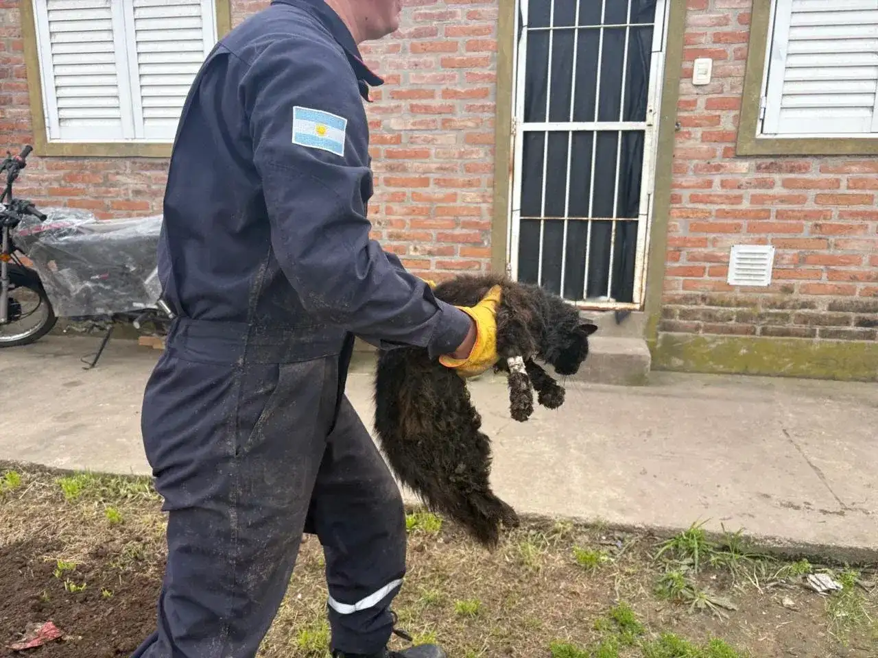 Crédito: Bomberos de Venado Tuerto.