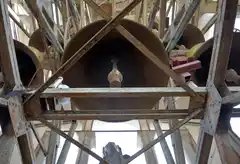 En su 145to aniversario, conocé cómo funcionan las campanas de la iglesia del centro