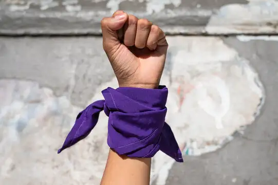 Se busca la prevención, asistencia y erradicación de las violencias
