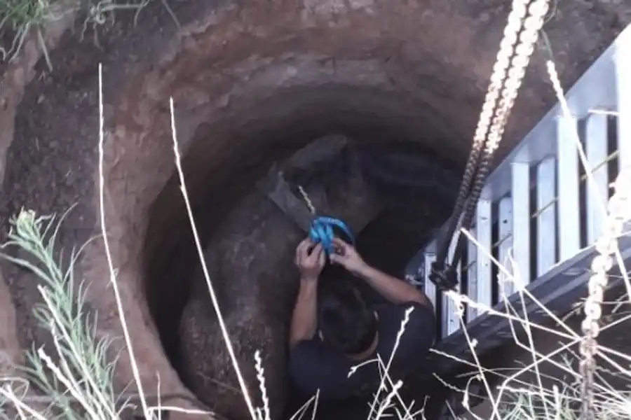 Bomberos de la región rescataron a un caballo que cayó a un pozo