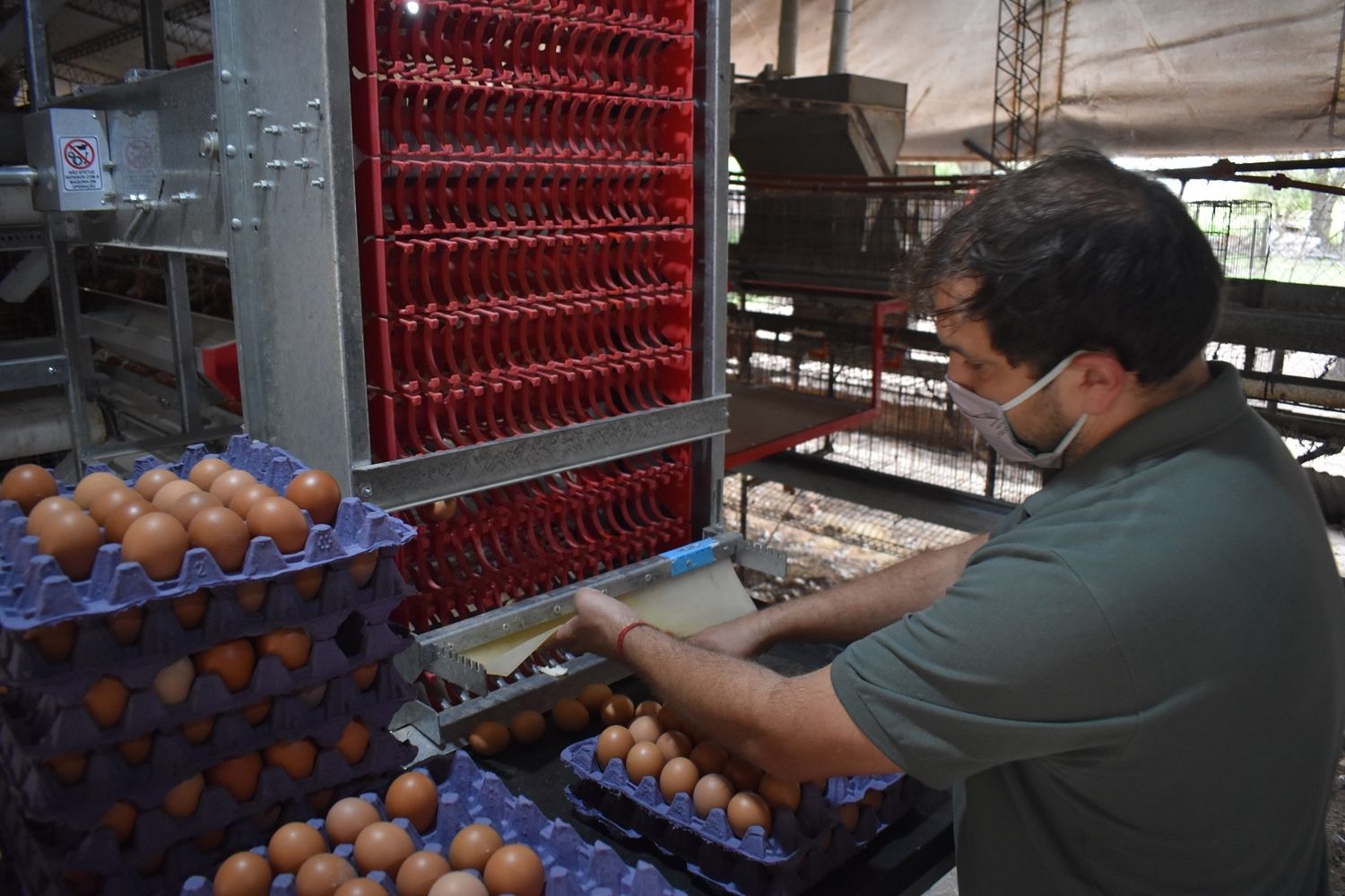 La economía de Santa Fe creció 5,2% en el primer trimestre