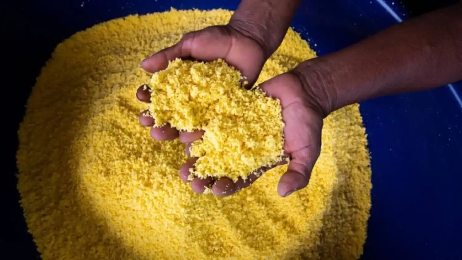 El alimento ancestral que hizo sobrevivir a los niÃ±os perdidos en la selva