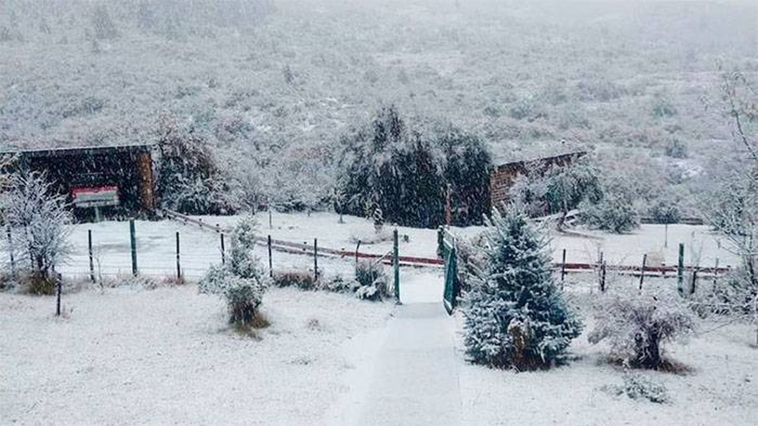 Se produjo la primera nevada del año en Bariloche