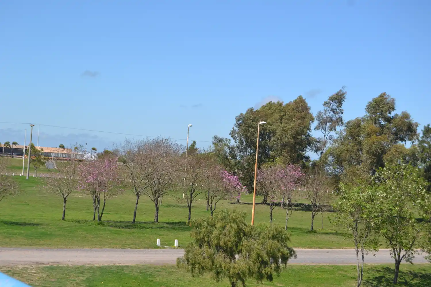 Inicio de fin de semana con temperatura agradable en Gualeguay