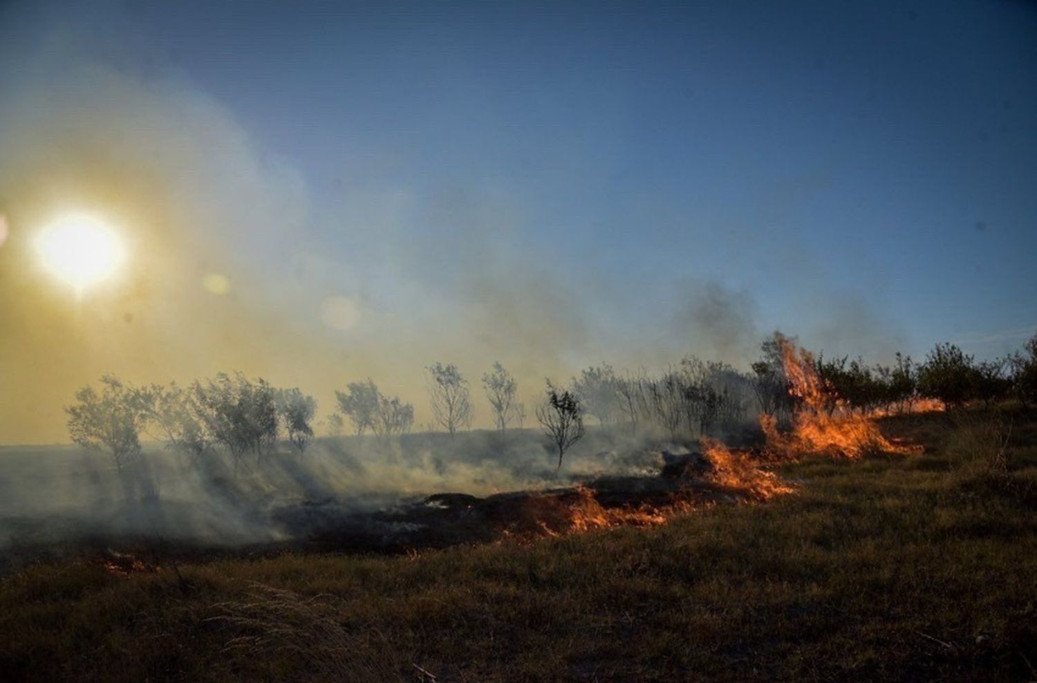 Aumentó fuertemente el riesgo de incendios en General Pueyrredon: cómo prevenirlos