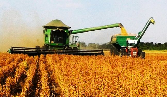 Sociedad Rural de Junín: “No somos los salvadores, parecería que siempre se espera lo que sucede en el campo”