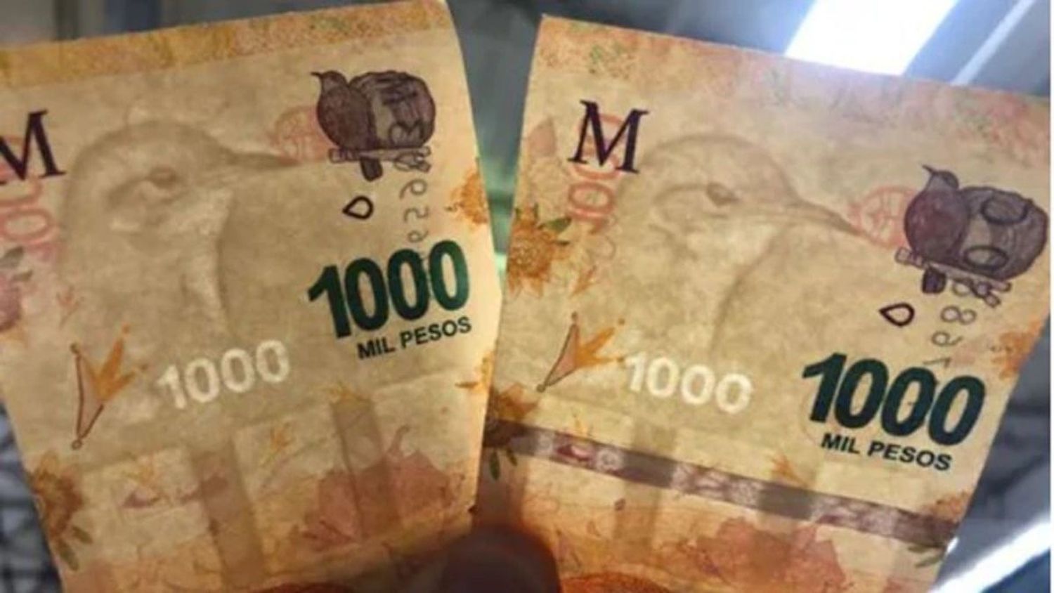 Los billetes con errores también cotizan por las nubes: ¿tenés alguno?